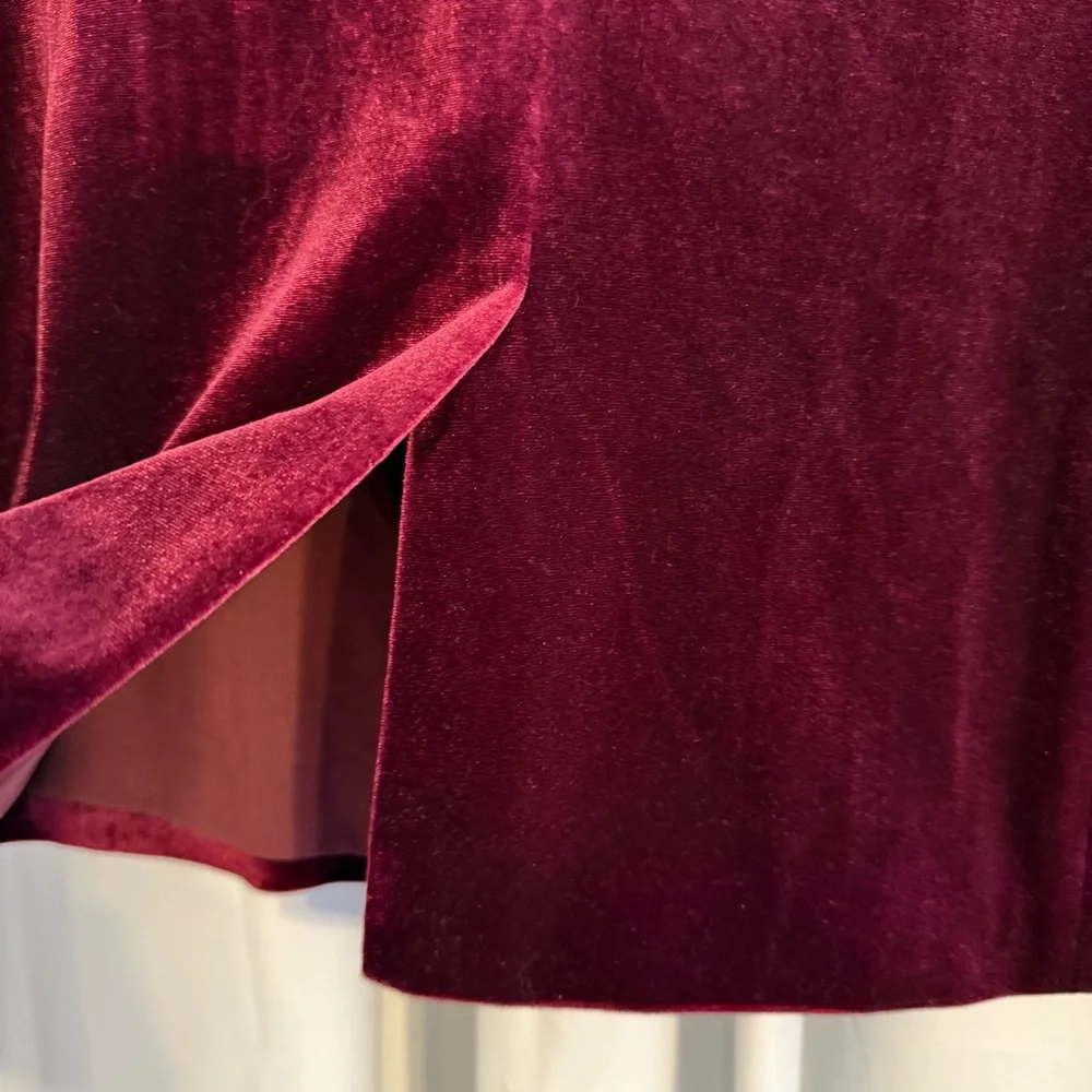 AQUA Cranberry Velvet Blazer Women’s Small Holiday Party Jacket Festive Rich Red - Picture 9 of 10